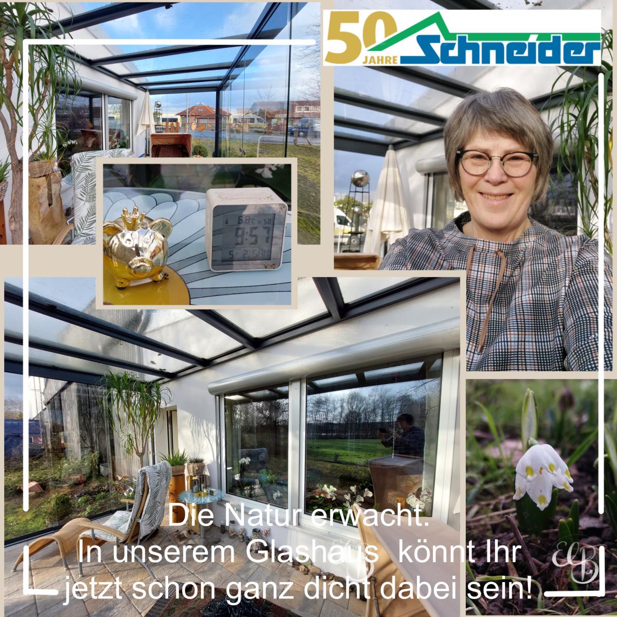 Glashaus mit Rahmenlosen Ganzglas Schiebetüren www.schneider-metallbau.de